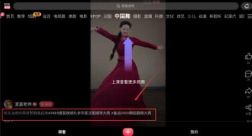 寻找舞蹈视频在线观看,在线舞蹈视频盛宴，尽享舞蹈魅力  第2张