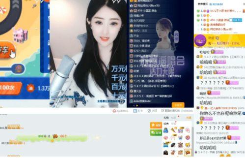 爆料一只小兜兜视频,网络爆红萌宠视频幕后故事  第2张